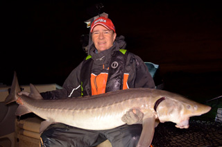 Sturgeon