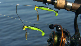 The Blakemore Road Runner Bang Shad Buffet Rig